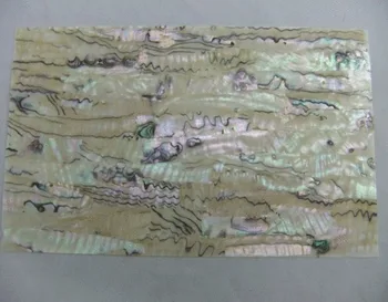 1 бр. на хартия от мексиканския морски охлюв с естествено осветление, материал за декоративни инкрустации
