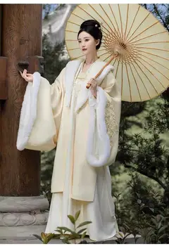 Зимна китайската традиционна облекло Хан Супериорна жилетка с директен яка и кръстосано деколте Tang Hanfu за жени